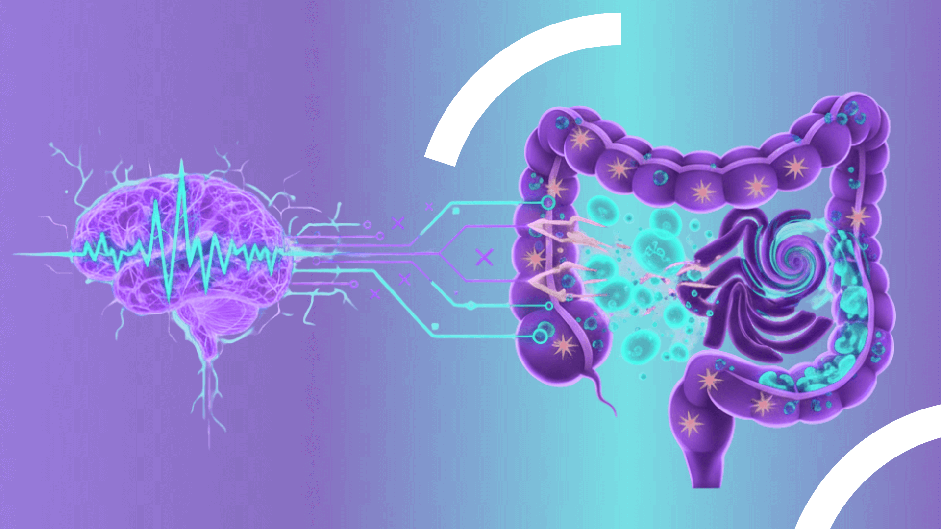 Синдром на раздразненото черво: Всичко, което трябва да знаете за това състояние